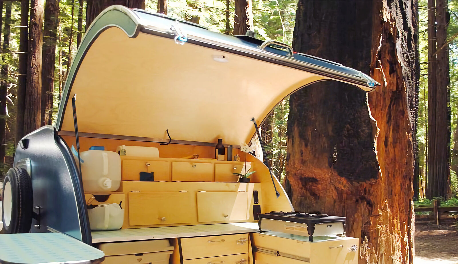 A teardrop camper in a redwood forest with its rear galley hatch held open by PAMAGOO gas struts